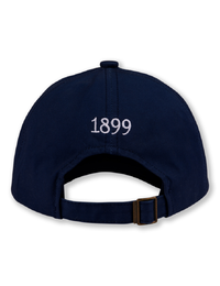 Stenströms pet blauw