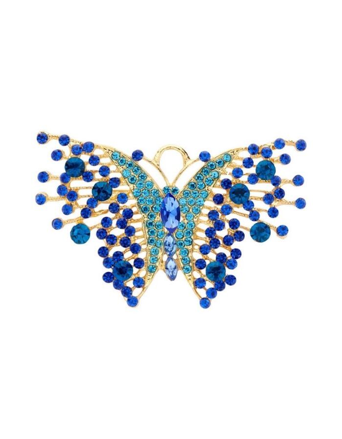 Les Cordes broche blauw
