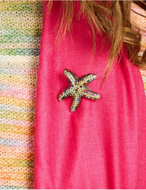 Les Cordes broche multicolor