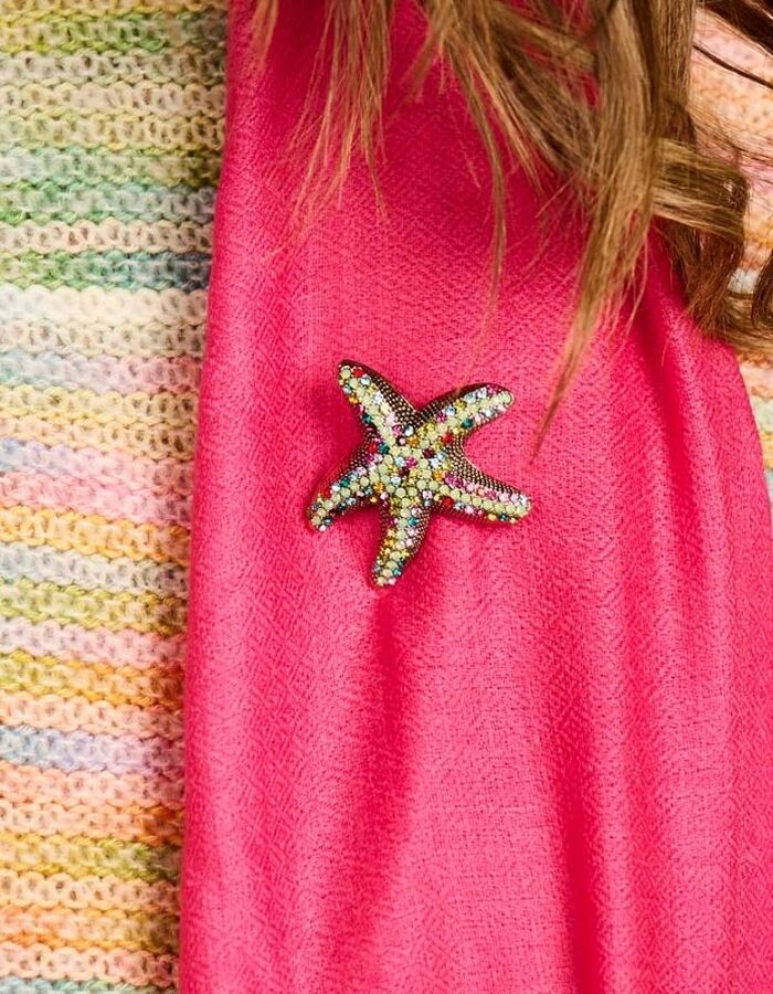 Les Cordes broche multicolor