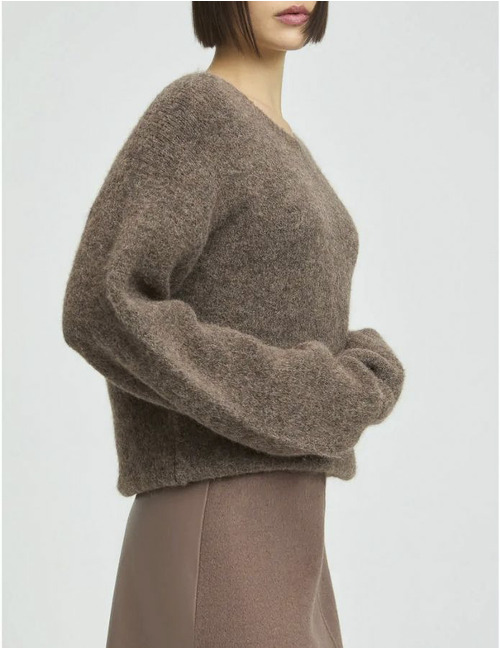 Xandres pull bruin