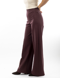 Drykorn broek bruin