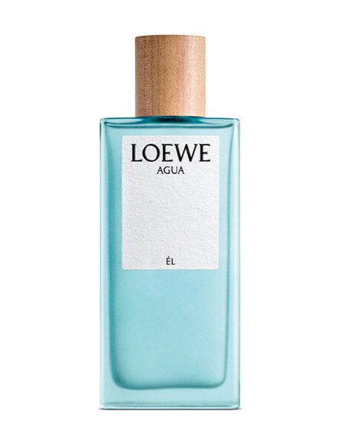 LOEWE Agua Él EDT 100ml