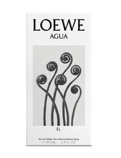 LOEWE Agua Él EDT 100ml