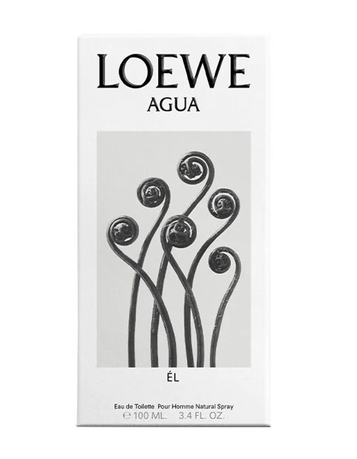 LOEWE Agua Él EDT 100ml