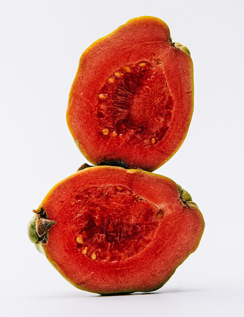 224740_3.JPG