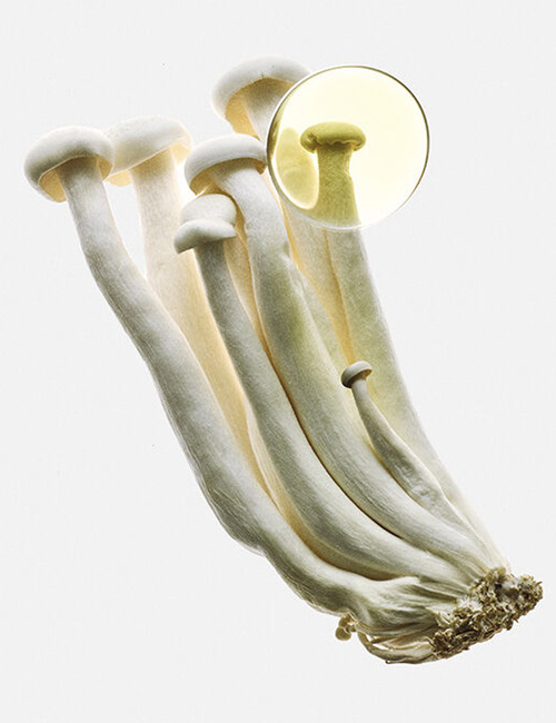 224743_3.JPG