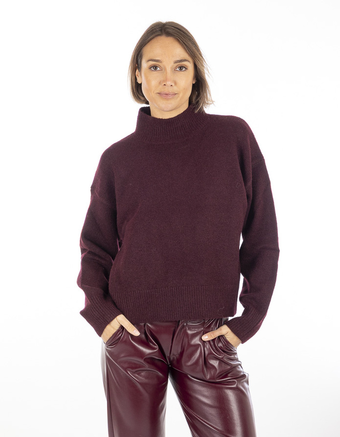 Neo Noir pull rolkraag rood