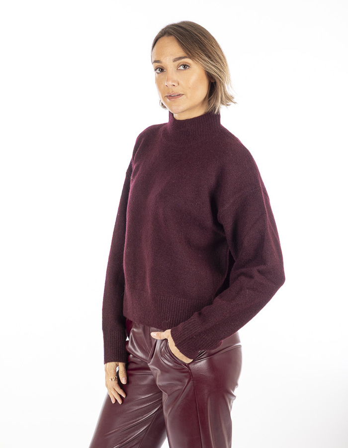 Neo Noir pull rolkraag rood