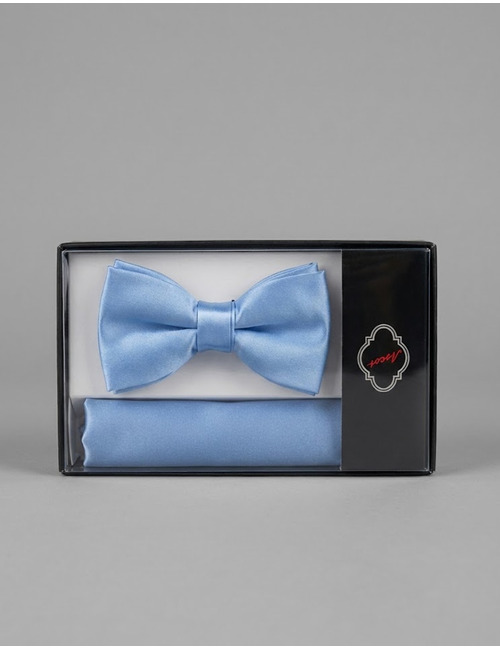 Ascot vlinderdassen blauw