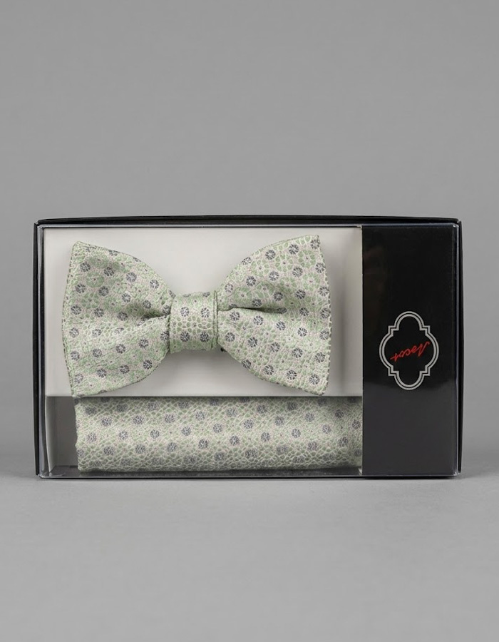 Ascot vlinderdassen multicolor