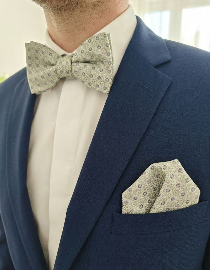 Ascot vlinderdassen multicolor