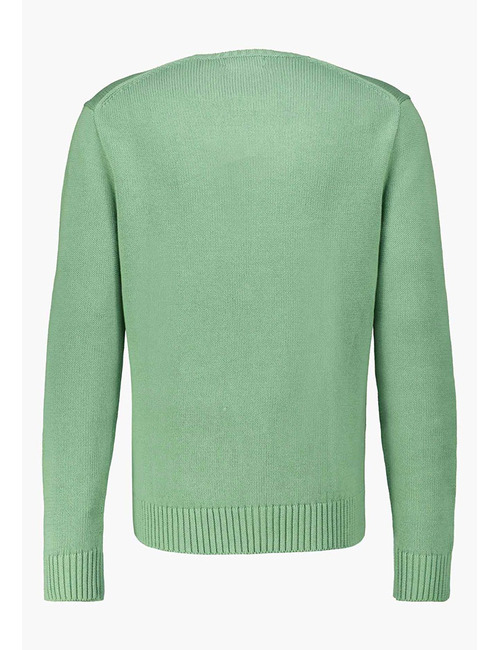 Cotton Crewneck Sweater in Outback Green