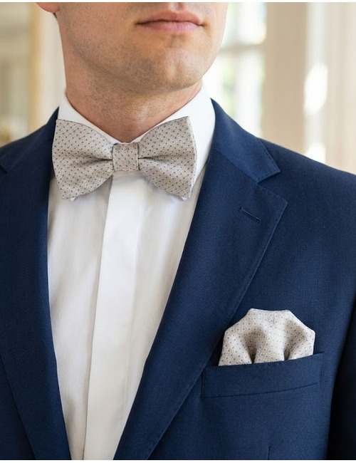 Ascot vlinderdassen beige