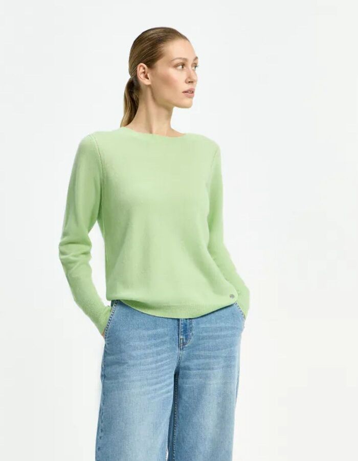 Xandres pull groen