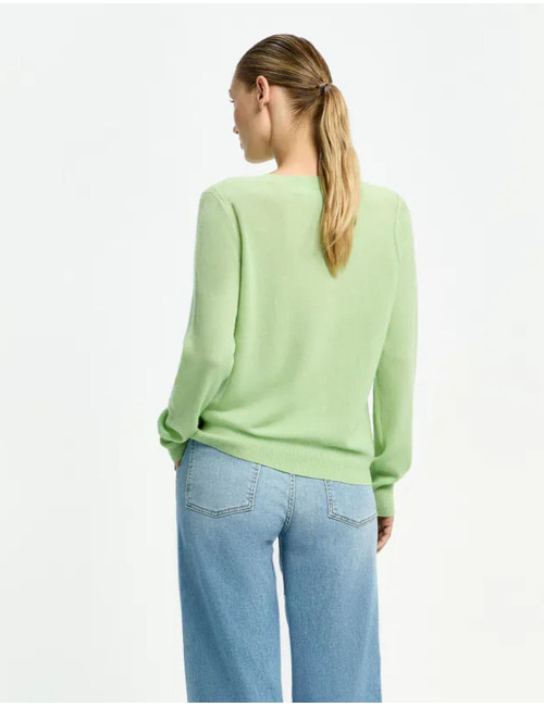 Xandres pull groen