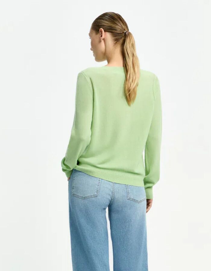 Xandres pull groen