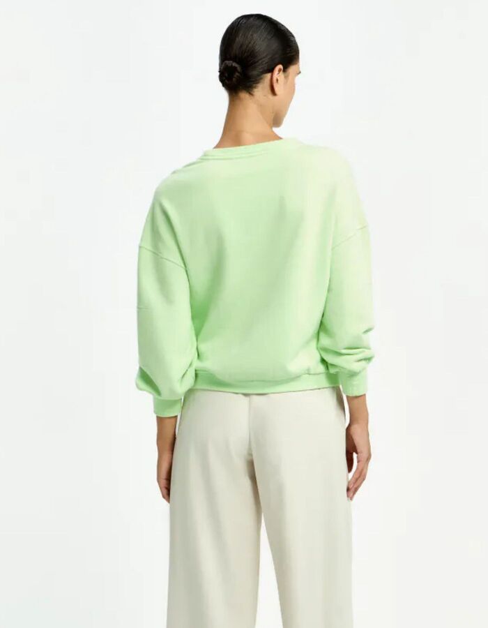 Xandres pull groen