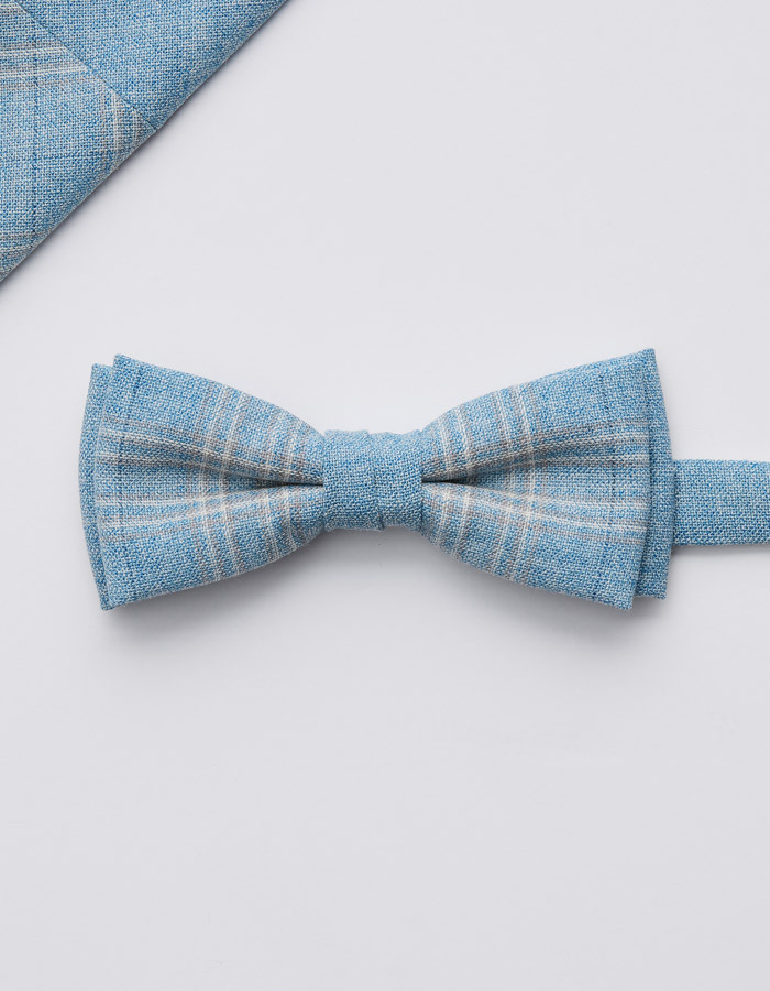 Immediate vlinderdassen blauw