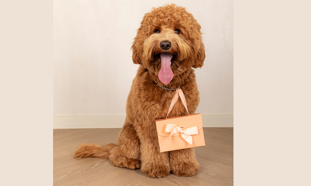 La Liberté de Choix avec un Bon Cadeau