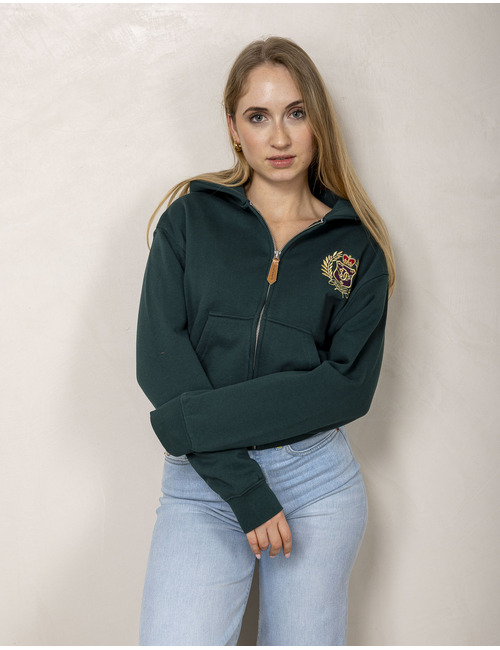 Superdry sweater met kap groen