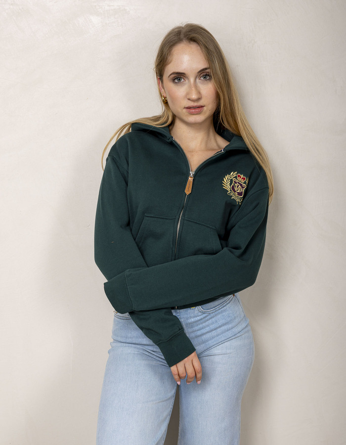 Superdry sweater met kap groen