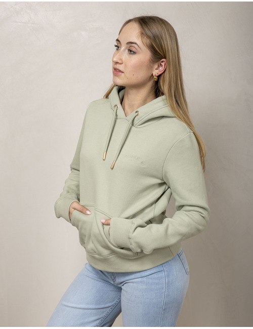 Superdry sweater met kap groen