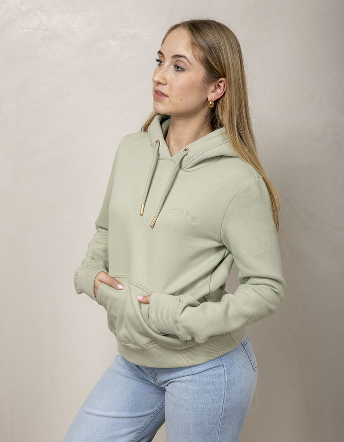 Superdry sweater met kap groen