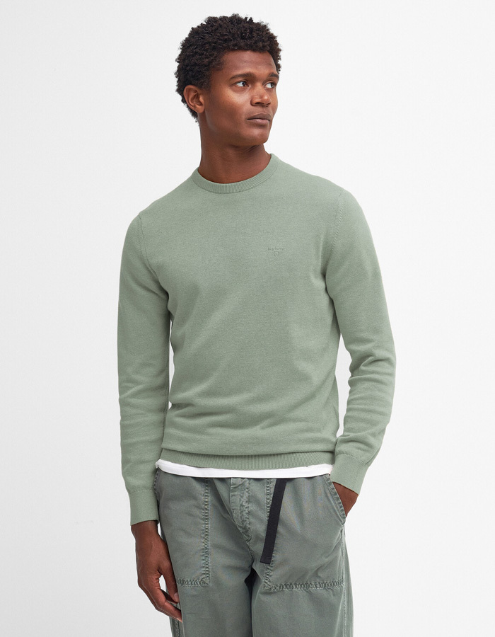 Pima cotton crew neck sweater in agave green
