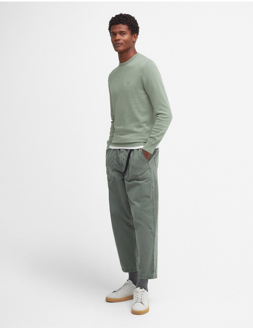 Pima cotton crew neck sweater in agave green