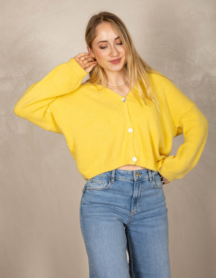 Beau Et Lou pull met v-hals geel