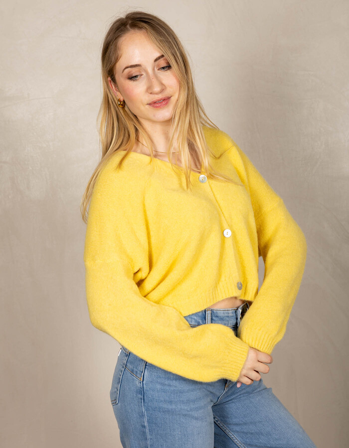 Beau Et Lou pull met v-hals geel