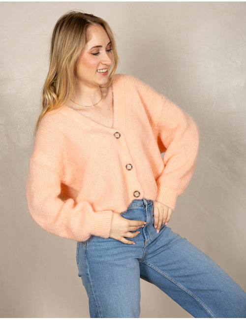 Beau Et Lou lange mouw gilet roze