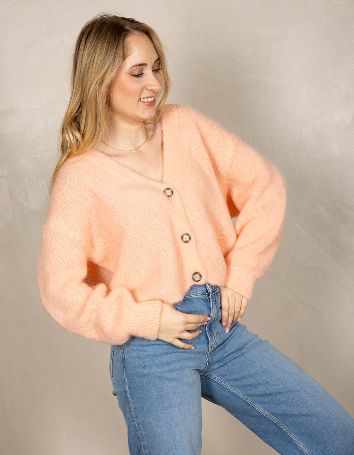 Beau Et Lou lange mouw gilet roze