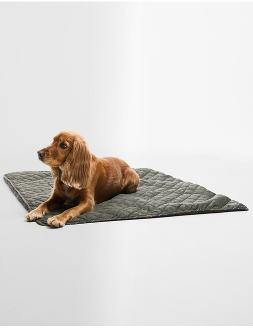 Gewatteerd hondenkleed met fleece voering kaki