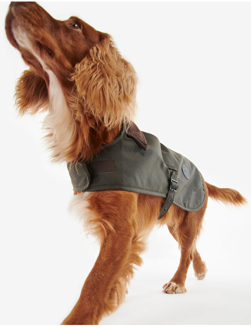 Wax dog coat in olive