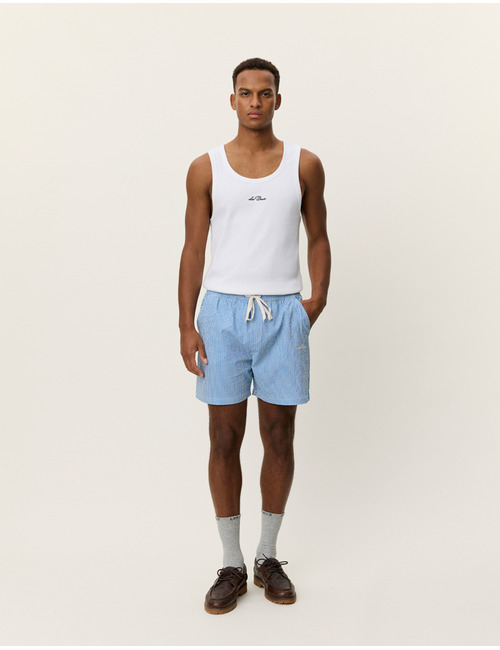 Stan stripe seersucker swim shorts in palace blue