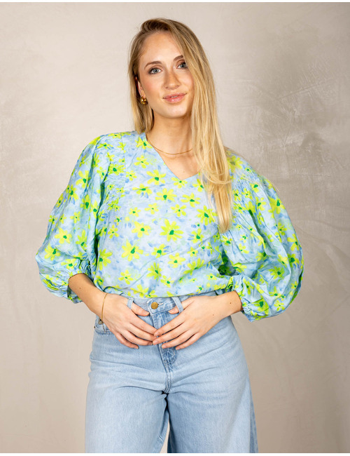 Freequent bloes blauw