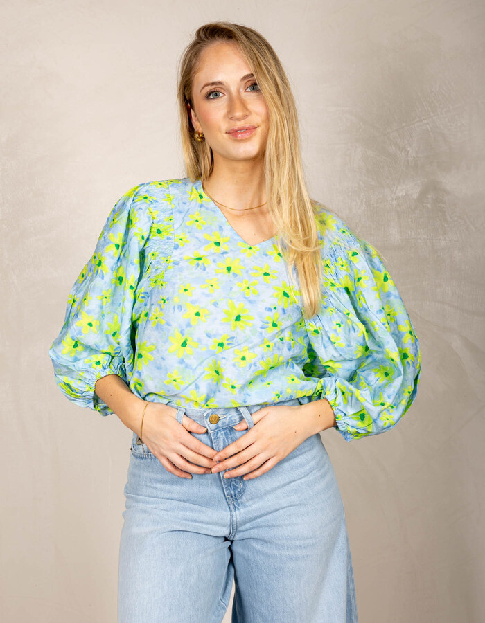 Freequent bloes blauw