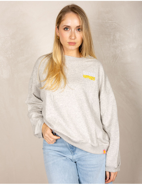 The Shirt Projects sweater grijs