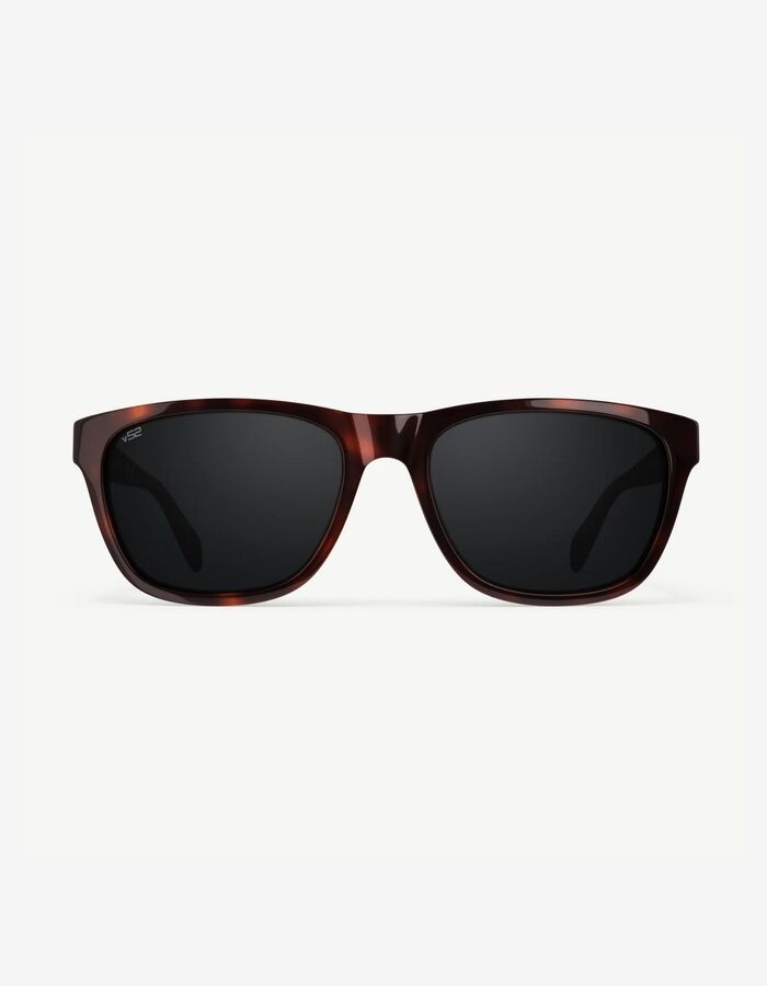 Daytrippers premium acetate V52 lenzen Dark Tortoise