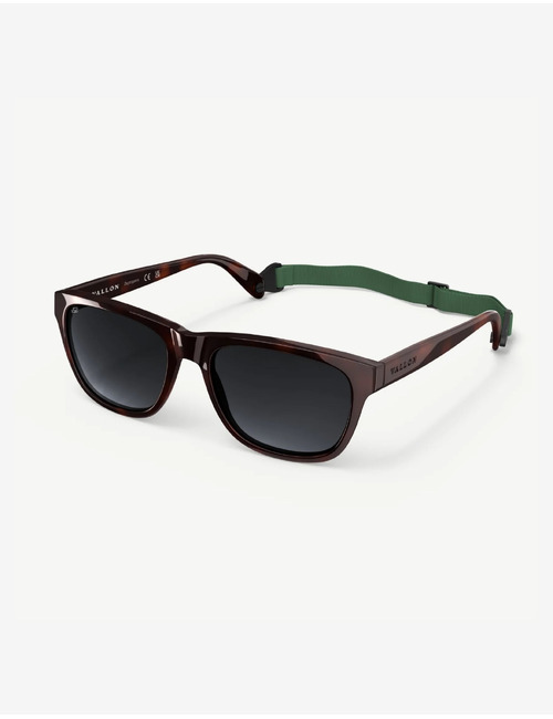 Daytrippers premium acetate V52 lenzen Dark Tortoise