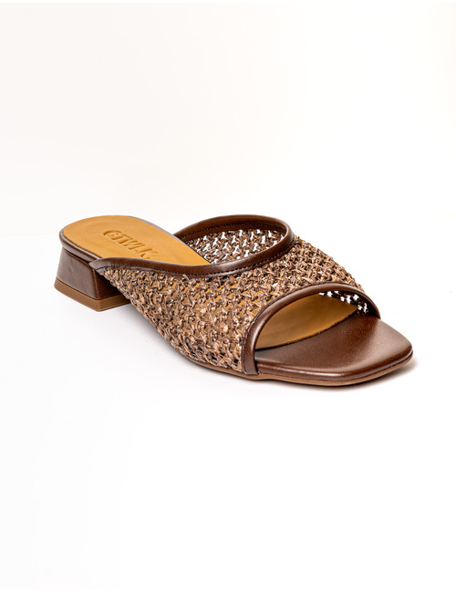 Ctwlk flipflops bruin