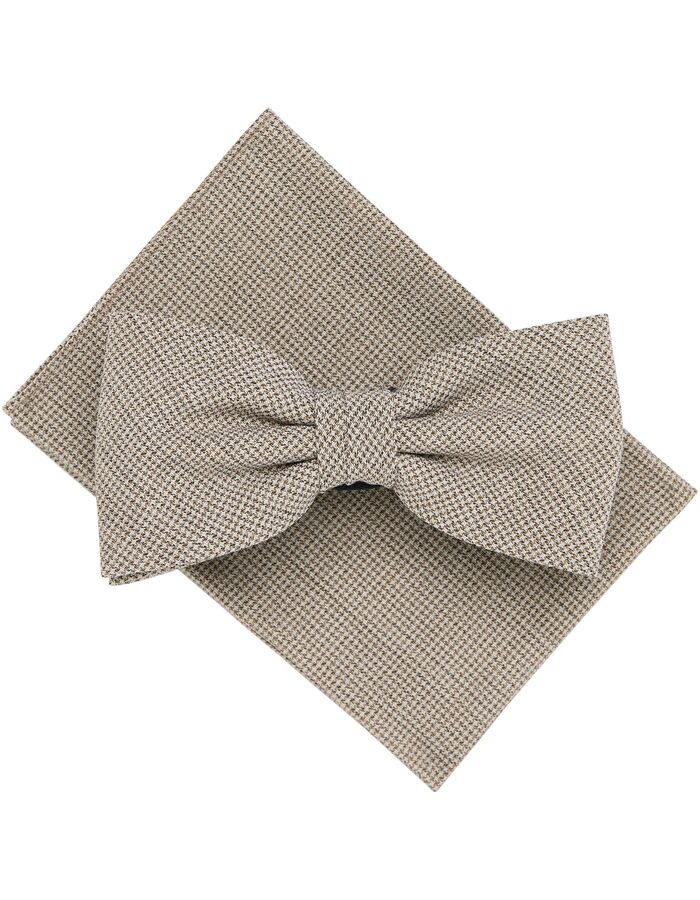 Vlinderdas met klassieke uitstraling