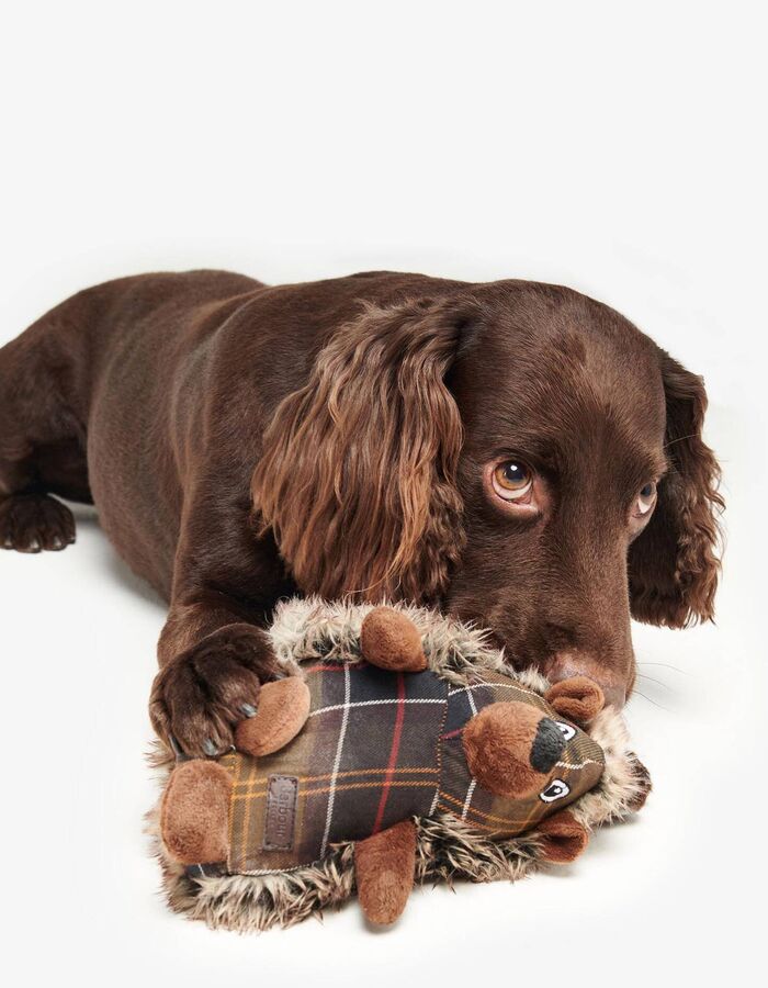 Egeltje hondenspeeltje in tartan
