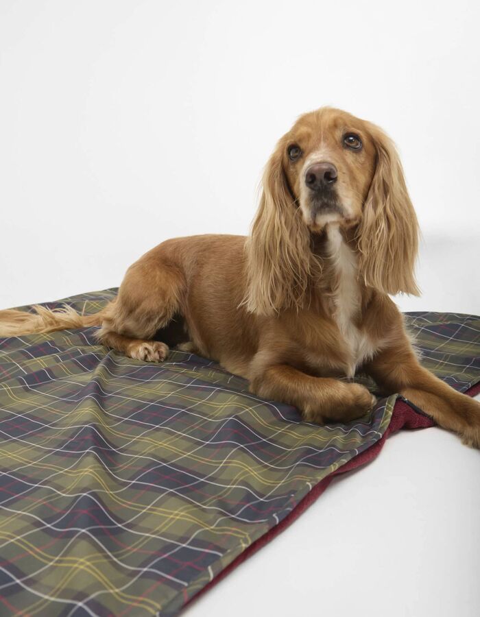 Honden deken in tartan