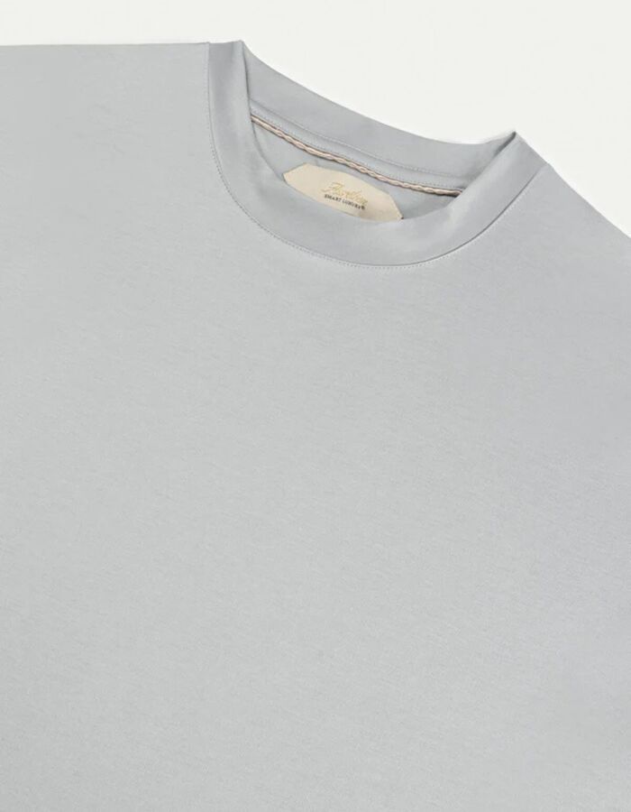 T-shirt in Egyptisch katoen grijs