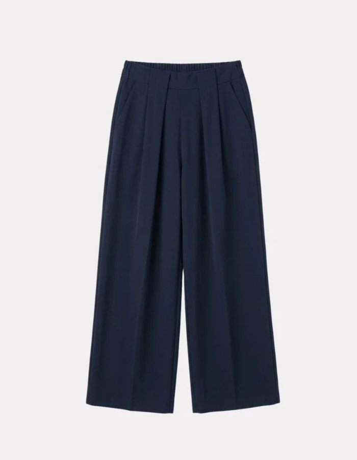 Accento broek blauw