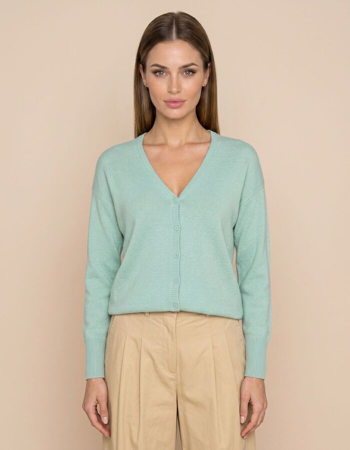 Due Amanti pull blauw