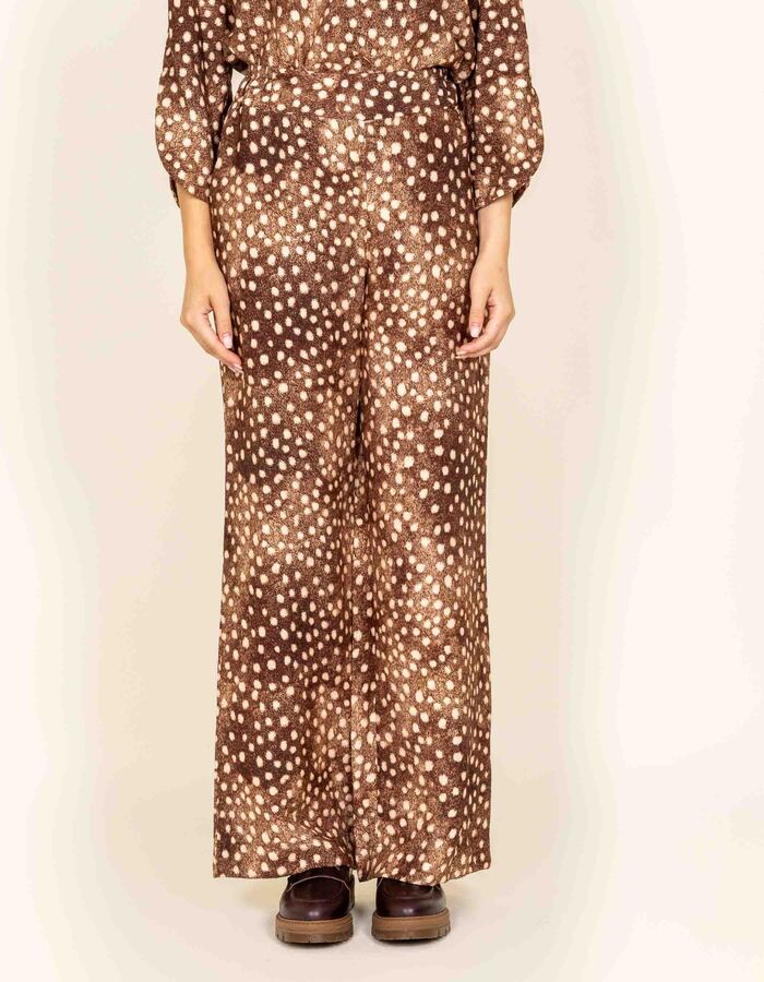 Barinas - broek met stippenprint in chocoladebruin
